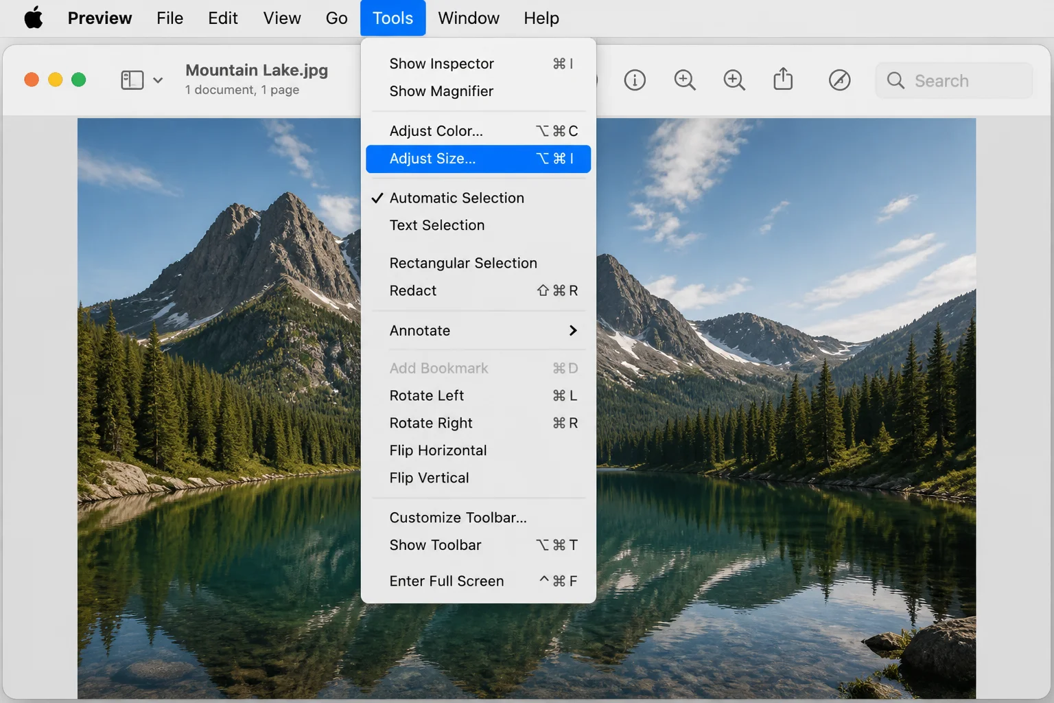 macOS Preview app with the Tools menu open and "Adjust Size" highlighted