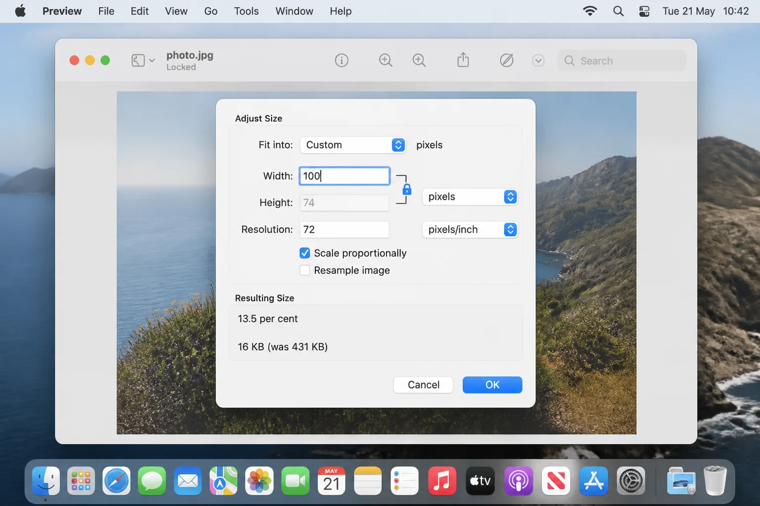 Preview "Adjust Size" dialog with Width set to a pixel value, Scale proportionally checkbox checked, and the resulting file size estimate shown at the bottom of the dialog