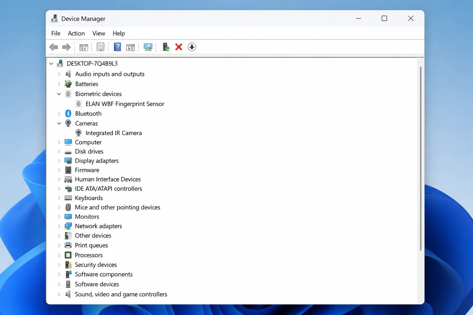 Device Manager expanded to show Biometric devices and Cameras categories with a fingerprint reader or IR camera listed